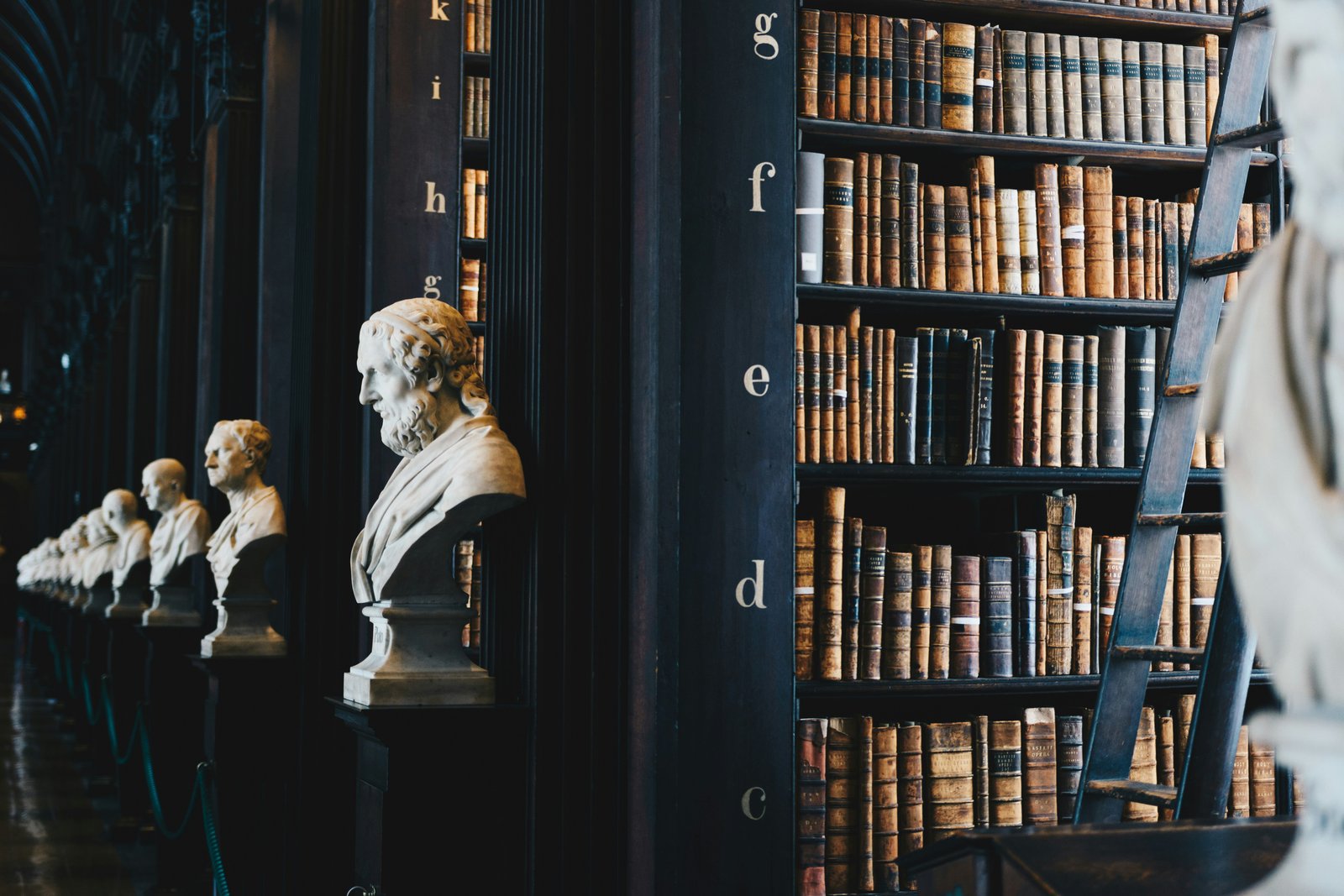 Library bookshelves